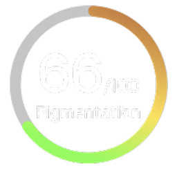 Pigmentation score from the Stella App.